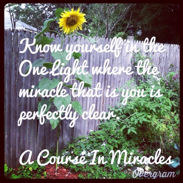 Quote from A Course in Miracles to Brighten Your Day